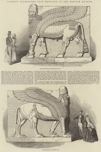 Sculture di Nimroud appena ricevute al British Museum